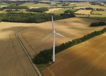 Yeşil Bir Geleceğe Doğru: Türkiye’de Tarımsal Gelişmelerin Perde Arkası