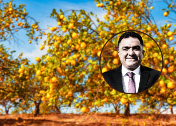 Adana Çiftçiler Birliği Başkanı Mutlu Doğru: "Limon Fiyatları Dengelenecek, Çiftçinin Emeğine Sahip Çıkalım